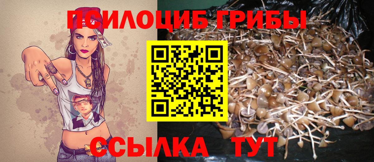 наркота  Галлюциногенные грибы Cubensis  Вход с VPN  Галлюциногенные грибы ЛСД  Котовск 