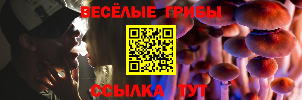 Галлюциногенные грибы мухоморы Котовск